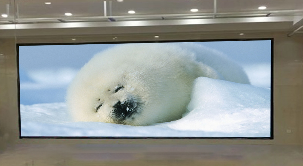 ɽϹľLEDʾĿ