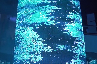 LEDʾLED͸ʾĸ?