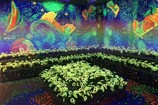 LED˫ɫʾƼӾں